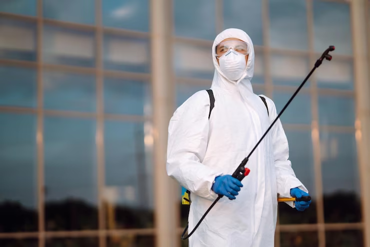 What to Look for in a Professional Exterminator in Portland?