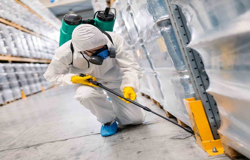 Checklist For Pest